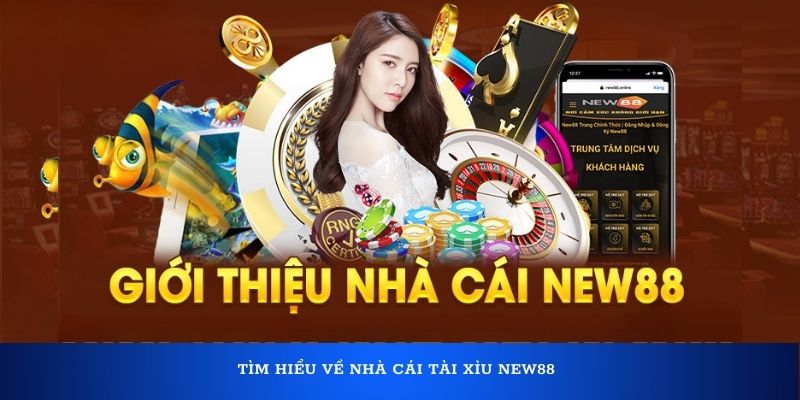 Tìm hiểu về nhà cái tài xỉu New88